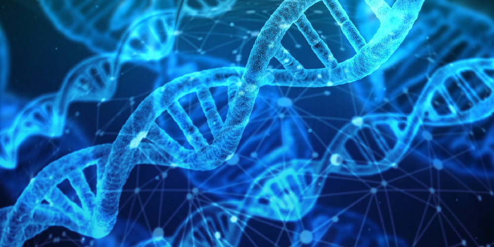 Foundational Models In Single-Cell Omics